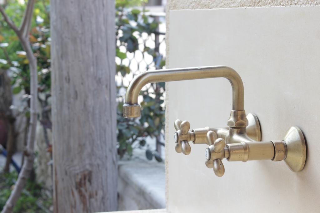 Artemisia Traditional Home Choudetsi Luaran gambar
