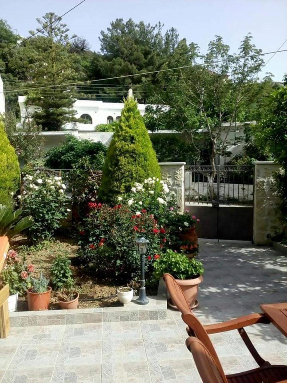 Artemisia Traditional Home Choudetsi Luaran gambar